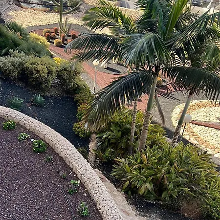 アパート Tantulia Borinquen 215 Tenerife *